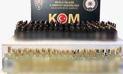 Muğla'da kaçakçılık operasyonlarında 2 milyon liralık vergi kaybı önlendi