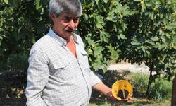 Muğla'da üreticinin emeğine çevre dostu koruma
