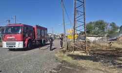 Muratlı'da arsa yangını itfaiye büyümeden söndürdü