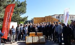Nevşehir'de 400 arı kovanı dağıtılacak