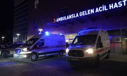 Niğde'de tır ile hafif ticari araç kafa kafaya çarpıştı: 2 ölü, 1 yaralı