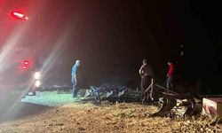 Odunluk yangını hayvan ağılına ulaşmadan söndürüldü