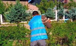 Patnos'ta denetimli serbestlik yükümlülerinden camilerde temizlik çalışması