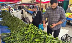 Pazarda turşu mesaisi başladı