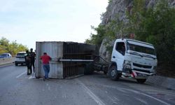 Pelet yüklü kamyon bariyerlere çarptı, kasası devrildi: 1 yaralı