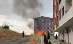 Pire kovarken kümesten oldu