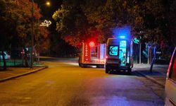 Sakarya Nehri'ne düşen kişi ekipler tarafından kurtarıldı