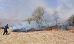 Saraykent'te 150 dönüm arazi yandı
