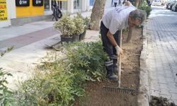 Şehzadeler'de parklar dört mevsim bakımlı tutuluyor