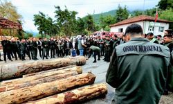 Sinop'ta orman personeline ORKOD eğitimi