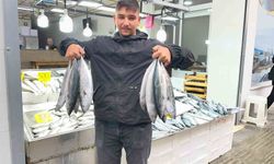 Sinop'ta palamut 50 lira