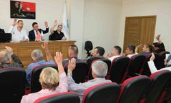 Sivrihisar'da yeni otogar için imar planı değişikliği Meclisten oy birliğiyle geçti