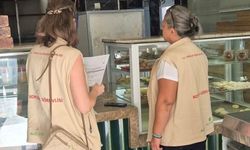 Söke'de gıda işletmeleri denetlendi