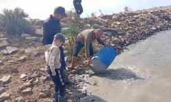 Sulama kanallarında mahsur kalan balıklar kurtarıldı