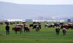 Tarımda üreticilere destekleme çağrısı
