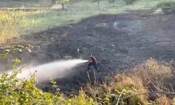 Tarlada yakılan ateş otluk alana sıçradı: 4 dönüm alan zarar gördü