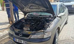 Tatvan'da park halindeki otomobil alev aldı