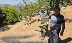 Tire'de bitmeyen yol çilesi: Mahalleli can güvenliğinden endişeli
