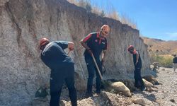 Toprak kaymasında 6 küçükbaş hayvan telef oldu