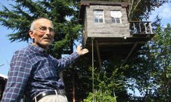 Torunu istedi, dedesi yaptı: 90 yıllık meşe ağacının tepesine ev kurdu