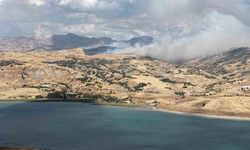 Tunceli'de kırsal alan yangını: Müdahale sürüyor