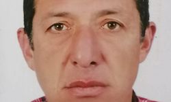 Uçurumdaki kazada hayatını kaybetti, arılar ekipleri yaklaştırmadı