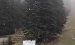 Uludağ'a sezonun ilk karı yağdı
