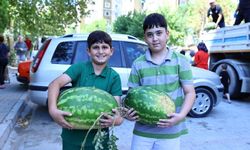 Üreticinin imdadına Başkan Çavuşoğlu yetişti