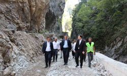 Vali Çağatay, Yenice ilçesinde incelemelerde bulundu