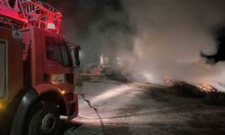 Van'da 2 bin 500 bağ ot yandı