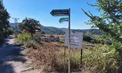 Yalova'da 4 köyde sokak tabelaları yenilendi