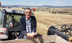 Yerli nohut çeşidinde hasat zinciri büyüyor