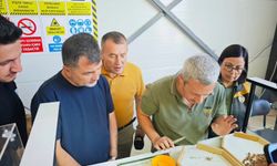 Yığılca TMO fındık alım merkezi açıldı