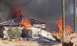 Yozgat'ta çıkan yangında iki ev kül oldu, 1 köpek telef oldu