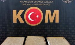Yozgat'ta doldurulmuş makaron ele geçirildi