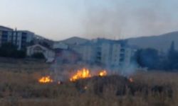 Yüksekova'da anız yangını