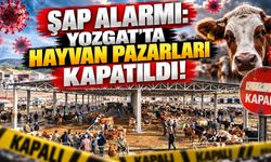 Şap Alarmı: Yozgat'ta Hayvan Pazarları Kapatıldı