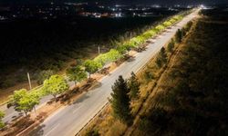 18 kilometrelik yola 472 yeni aydınlatma direği