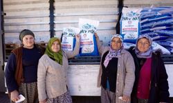 19 ilçede 2065 üreticiye 170 ton tohum desteği sağlandı