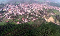 2.4'lük deprem bir ilçeyi ayağa kaldırdı