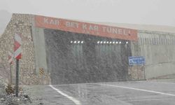 3 bin rakımlı Karabet Geçidi'nde sis ve kar yağışı etkili oluyor