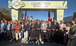 3. Edremit Festolive Zeytinyağı Tadım Festivali başladı
