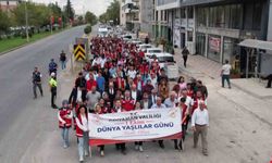 Adıyaman'da Dünya Yaşlılar Günü dolayısıyla kortej yürüyüşü