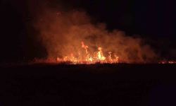 Adıyaman'da korkutan anız yangını