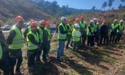 Akhisar'da ormanların geleceği için sahada eğitim