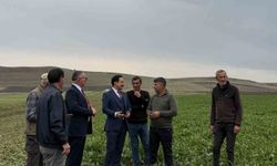 Akyaka Kaymakamı Demirtaş, şeker pancarı hasadına katıldı