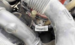 Aracın motor kısmına giren kedi uzun uğraşlar sonucu çıkartıldı