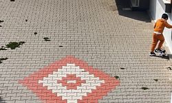 Bandırma'da kediye işkence iddiası tepki çekti
