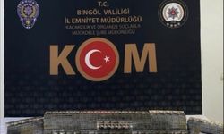 Bingöl'de bir haftada 29 şüpheli yakalandı