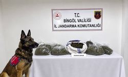 Bingöl'de jandarmadan bir haftada 25 olaya müdahale